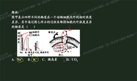 老师,钾钠离子不是通过协助扩散进出细胞的
