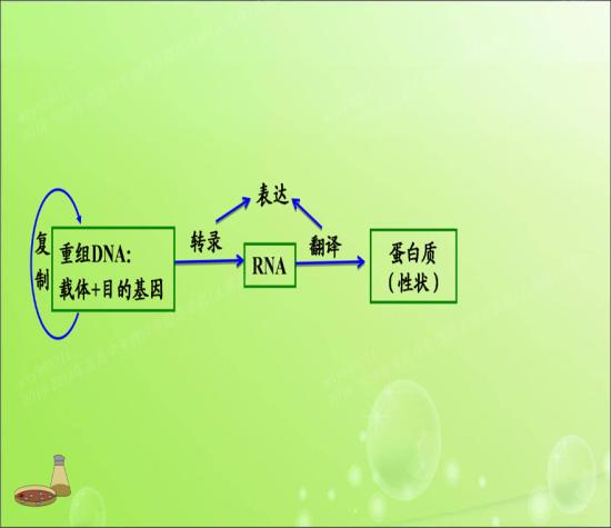 老师,2019生物高考考纲pdf的,谢谢