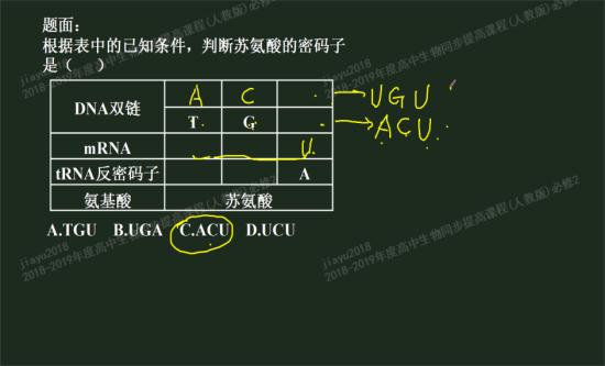 老师,请问密码子和反密码子是什么意思