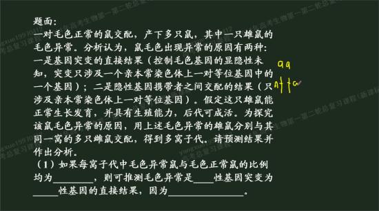 什么是基因型 CgEB7lLmFn6Ac5zSAACNNlVBZE8776.jpg