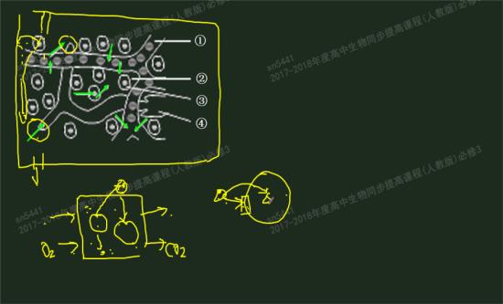 老师,什么时候NA离子和K离子协助扩散什