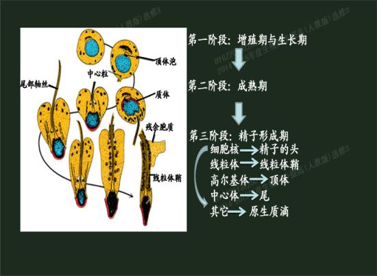 CgEB7VTQQKOAZ3NiAAB9bgug_eY162.jpg