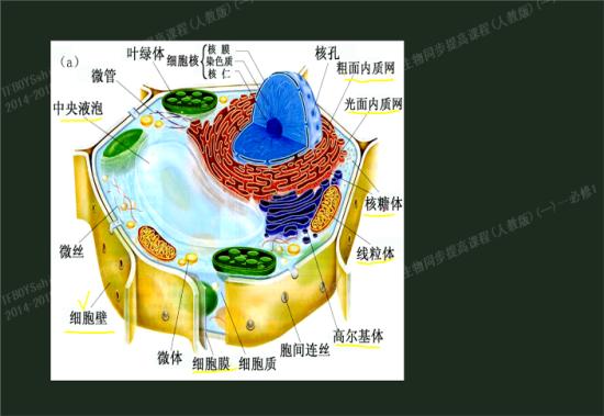 CgEB7lPkvlWAaut5AACBH1hw4Kg355.jpg