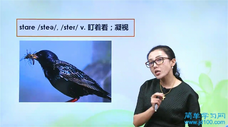 老师,什么是及物动词和不及物动词